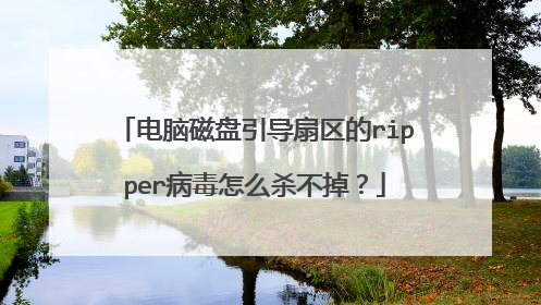 电脑磁盘引导扇区的ripper病毒怎么杀不掉?
