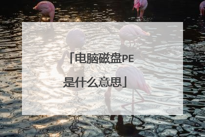 电脑磁盘PE是什么意思