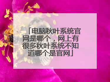 电脑秋叶系统官网是哪个,网上有很多秋叶系统不知道哪个是官网