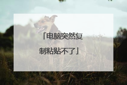 电脑突然复制粘贴不了
