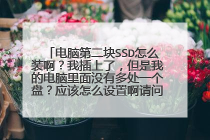 电脑第二块SSD怎么装啊?我插上了,但是我的电脑里面没有多处一个盘?应该怎么设置啊请问?两块盘都是