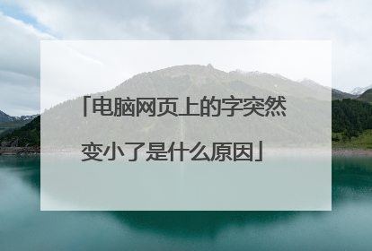 电脑网页上的字突然变小了是什么原因