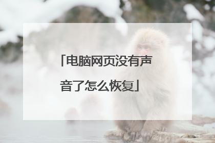 电脑网页没有声音了怎么恢复