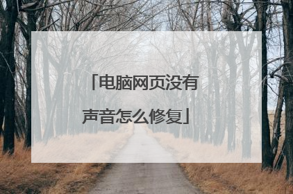 电脑网页没有声音怎么修复