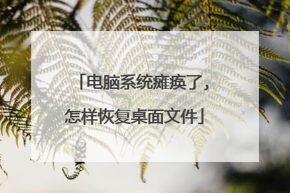 电脑系统瘫痪了,怎样恢复桌面文件