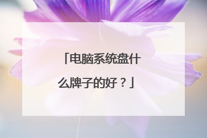电脑系统盘什么牌子的好?
