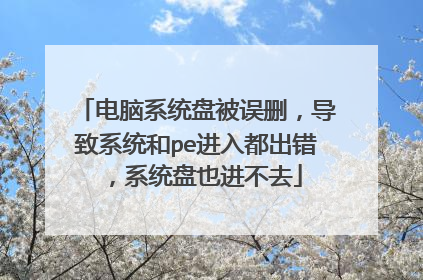 电脑系统盘被误删,导致系统和pe进入都出错,系统盘也进不去