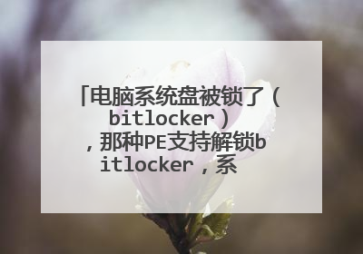 电脑系统盘被锁了(bitlocker),那种PE支持解锁bitlocker,系统盘被锁,进不去?