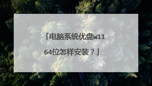 电脑系统优盘w1164位怎样安装？