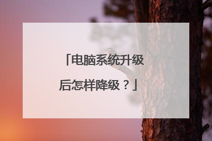 电脑系统升级后怎样降级?