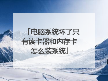 电脑系统坏了只有读卡器和内存卡怎么装系统