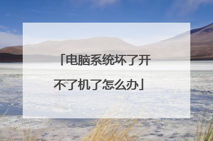 电脑系统坏了开不了机了怎么办