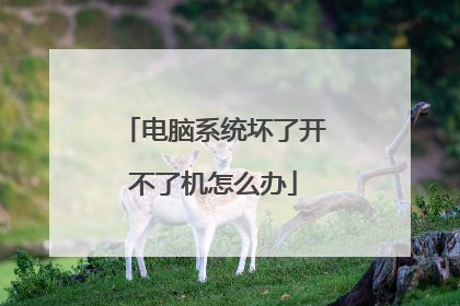 电脑系统坏了开不了机怎么办
