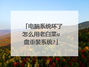 电脑系统坏了怎么用老白菜u盘重装系统?