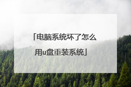 电脑系统坏了怎么用u盘重装系统