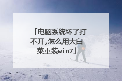 电脑系统坏了打不开,怎么用大白菜重装win7