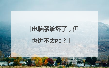 电脑系统坏了,但也进不去PE?