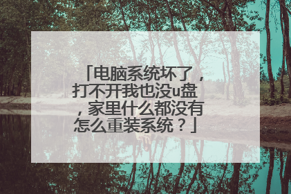 电脑系统坏了,打不开我也没u盘,家里什么都没有怎么重装系统?