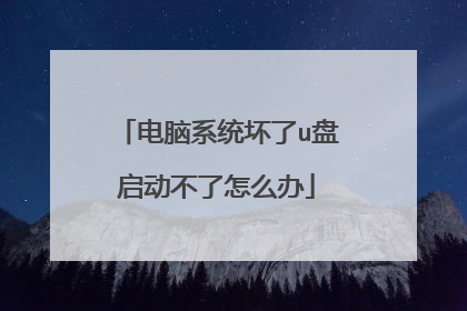 电脑系统坏了u盘启动不了怎么办