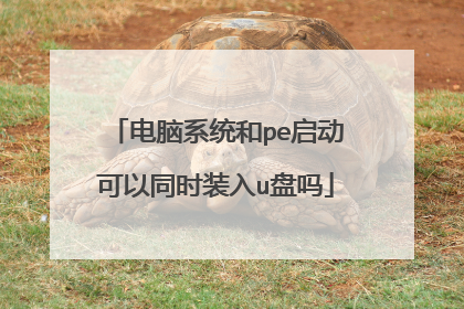 电脑系统和pe启动可以同时装入u盘吗