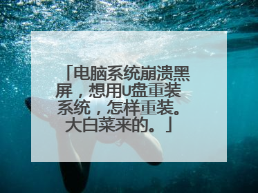 电脑系统崩溃黑屏，想用U盘重装系统，怎样重装。大白菜来的。