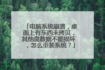 电脑系统崩溃,桌面上有东西未拷贝,其他盘数据不能损坏,怎么重装系统?