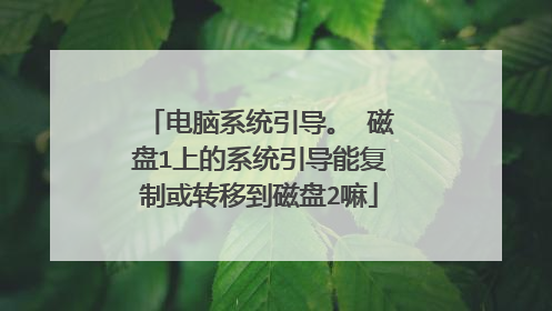 电脑系统引导。 磁盘1上的系统引导能复制或转移到磁盘2嘛