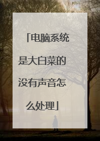 电脑系统是大白菜的没有声音怎么处理