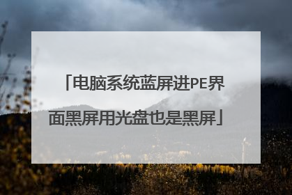 电脑系统蓝屏进PE界面黑屏用光盘也是黑屏