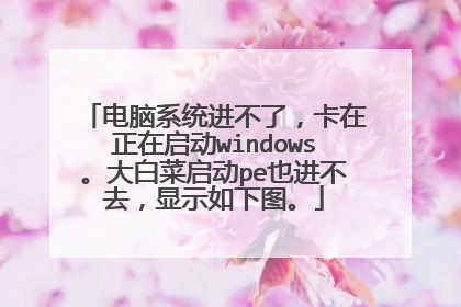 电脑系统进不了,卡在正在启动windows。大白菜启动pe也进不去,显示如下图。