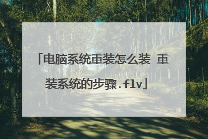 电脑系统重装怎么装 重装系统的步骤.flv