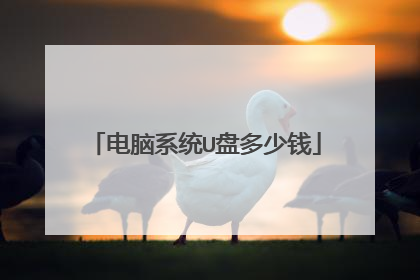 电脑系统U盘多少钱