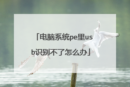 电脑系统pe里usb识别不了怎么办