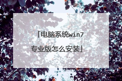电脑系统win7专业版怎么安装