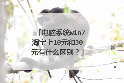 电脑系统win7淘宝上10元和30元有什么区别？