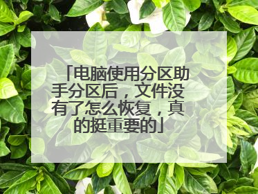电脑使用分区助手分区后,文件没有了怎么恢复,真的挺重要的