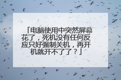 电脑使用中突然屏幕花了,死机没有任何反应只好强制关机,再开机就开不了了?