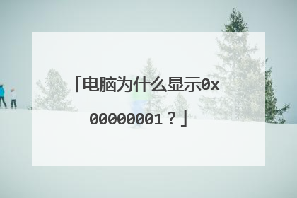 电脑为什么显示0x00000001？
