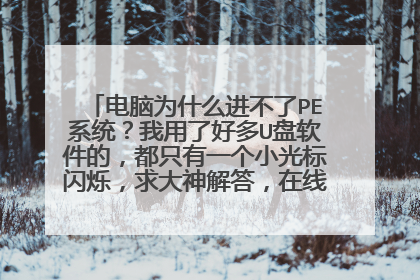 电脑为什么进不了PE系统？我用了好多U盘软件的，都只有一个小光标闪烁，求大神解答，在线等......