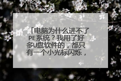 电脑为什么进不了PE系统?我用了好多U盘软件的,都只有一个小光标闪烁,求解答,在线等.