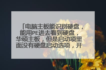 电脑主板能识别硬盘,能用PE进去看到硬盘,华硕主板,但是启动项里面没有硬盘启动选项,开机进bios