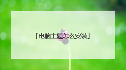 电脑主题怎么安装
