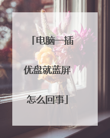 电脑一插优盘就蓝屏怎么回事