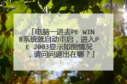 电脑一进去PE WIN8系统就自动重启，进入PE 2003显示如图情况，请问问题出在哪？