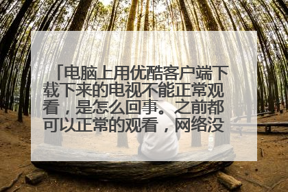 电脑上用优酷客户端下载下来的电视不能正常观看,是怎么回事。之前都可以正常的观看,网络没有任何的问题