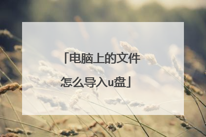 电脑上的文件怎么导入u盘