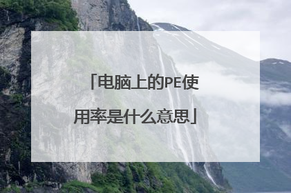 电脑上的PE使用率是什么意思