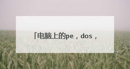电脑上的pe，dos，bios指的是什么？