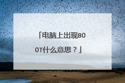 电脑上出现BOOT什么意思？