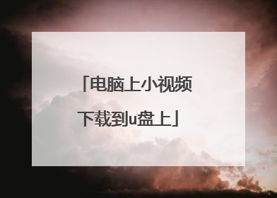 电脑上小视频下载到u盘上